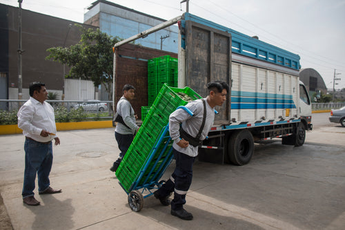 2023_MULTI_PURPOSE_BALM_V2_PERU_CAMPAIGN_PICTURES_FACTORY_39 - Mustela Hong Kong - 1