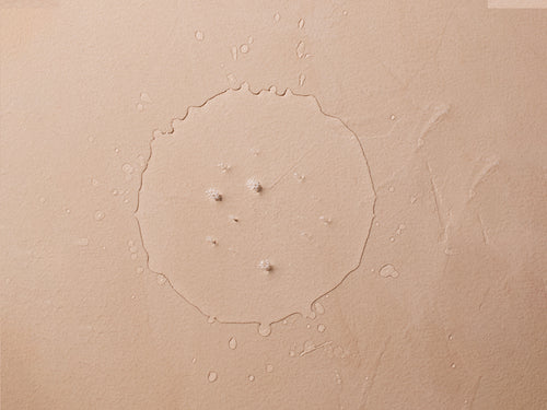 有機認證潔膚水 - 不用過水 (無香料) - Mustela Hong Kong - 2