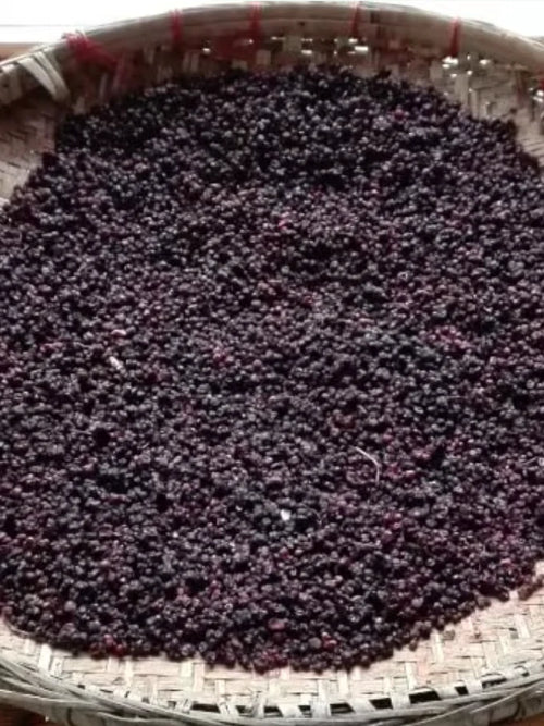 Capture_d_ecran_le_2024-07-12_a_15 - Mustela Hong Kong - 1