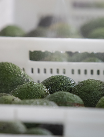 Rectangle_3_copie_5 - Mustela Hong Kong - 1