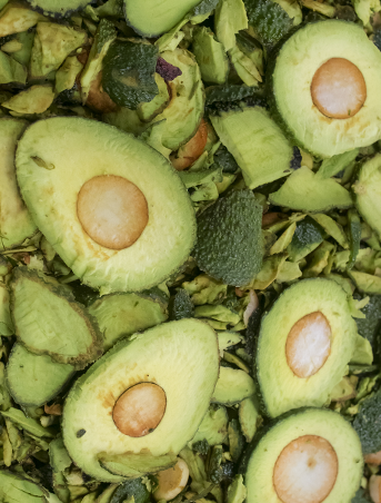 X6A6159 - Mustela Hong Kong - 1