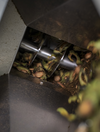 X6A6488 - Mustela Hong Kong - 1