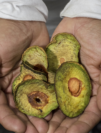 X6A6766 - Mustela Hong Kong - 1