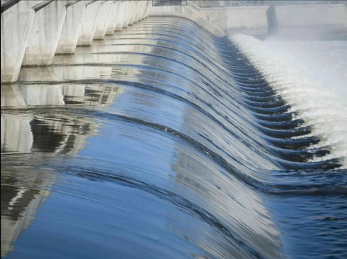 composition_et_production_3 - Mustela Hong Kong - 1