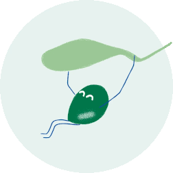 olive - Mustela Hong Kong - 1