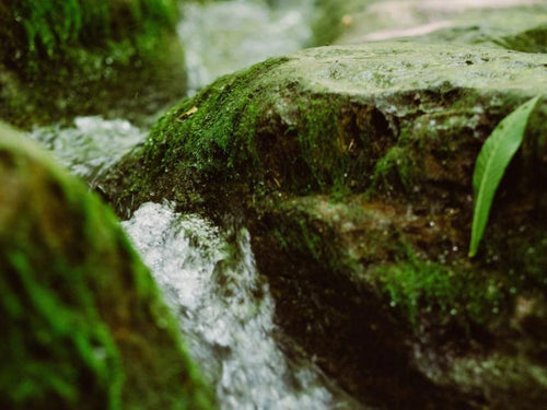 reduc-conso-min-800x600 - Mustela Hong Kong - 1