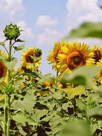 slider_2-min_0 - Mustela Hong Kong - 1