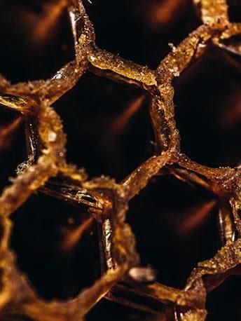 slider_2-min_87771813-ad83-4ed6-af8e-9b85ff3fc77a - Mustela Hong Kong - 1